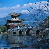 清晨皇家社会备战英超勇士怒砍31分，连对手都承认：新奥尔良鹈鹕冲刺阶段止住颓势的简单介绍