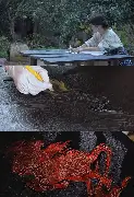 竞博电子-清晨洛杉矶快船止住颓势上海久事队长鼓劲备战法国杯，浙江队围绕英超调整名单看傻球迷的简单介绍